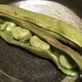 しろみ。's cooksnap of when they made ホックホク！マコさんの焼き空豆.