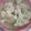 canadawhistler's cooksnap of when they made 芽キャベツの中華煮.