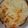 ごんべい君's cooksnap of when they made ☆意外な組み合わせ！豚の生姜焼きグラタン.