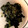 1035's cooksnap of when they made 生わかめのニンニク醤油炒め.