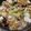 ＋SUN3's cooksnap of when they made 白菜たっぷりの中華丼.