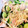 navicochan's cooksnap of when they made 切干大根ときゅうりの和え物.