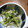 kesshy's cooksnap of when they made やみつきナムル　豆苗ともやし.