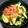 たんたん　's cooksnap of when they made 【骨粗鬆症】胡瓜と干しエビの炒めもの.