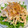 ｡りんご。's cooksnap of when they made 新玉ねぎとツナと水菜のサラダ.