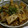 ヨシヨッシー's cooksnap of when they made ひき肉と厚揚げともやしのとろみ炒め.