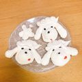 アーモンドはるかぜ's cooksnap of when they made メレンゲクッキー.