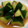 レオミウ's cooksnap of when they made 大量◎♪お箸がすすむ☆中華風胡麻胡瓜♪.