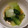 ちゅーじー's cooksnap of when they made 小松菜の青菜炒め.