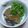 ニアキン's cooksnap of when they made 夫が喜ぶ！さばのみそ煮☆.