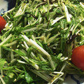 seacomet's cooksnap of when they made 振るだけde激ウマ♡水菜の簡単塩昆布和え.