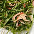がぁる's cooksnap of when they made 【作り置き】豆苗とカニカマのサラダ.