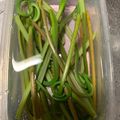シーナス·ケニー's cooksnap of when they made 簡単なゼンマイのあく抜き.
