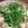 しびこeg4's cooksnap of when they made お鍋に♡ふわふわ豆腐の鶏つくね.