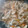 チコリママ's cooksnap of when they made 生姜の入った　切り干し大根の煮物.