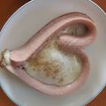 ももいちごさん's cooksnap of when they made ハートの目玉焼き♡お弁当に☆キャラ弁に☆.