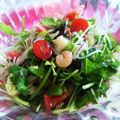 クックE7AY42☆'s cooksnap of when they made タイ人から教わった♪ヤムウンセン.
