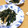 Sac’HiNa's cooksnap of when they made わかめと玉ねぎの生姜炒め.