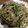 クックU01KJO☆'s cooksnap of when they made 豚肉とれんこん・小松菜の和風炒め.