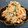 かなぽん☆☆'s cooksnap of when they made おつまみ♡鶏ささみのキムチマヨ和え♡旨辛.
