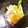 ののろかめ's cooksnap of when they made 筍と生ハムのマリネ.