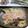 和☆2049's cooksnap of when they made 鮭とキャベツの粒マスマヨ焼き.