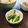Ｐ子ママ's cooksnap of when they made きゅうりとキャベツの梅・塩昆布漬け.