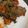 クック5NZZJL☆'s cooksnap of when they made 豚肉の生姜焼き.