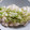 ねごぉ★'s cooksnap of when they made 簡単☆レンジで5分☆本格的蒸し鶏.