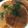 Dyayoi's cooksnap of when they made ✿お好み焼き風~甘辛大根ステーキ✿.