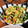 低カロ探検隊's cooksnap of when they made 材料3つ簡単＊キャベツとツナのたまごとじ.