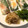 Amerixx's cooksnap of when they made ご飯のお供に☆新玉ねぎの甘酢おかか炒め★.