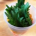 クックLXIRPF☆'s cooksnap of when they made 大葉が長持ち 蓋つき容器で お弁当 薬味.