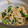 みちゃI0R4X0☆'s cooksnap of when they made レンジで簡単！和風のもやしナムル.