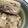 デラドラゴン's cooksnap of when they made 簡単！美味しい♪がんもどきの煮もの.