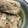 デラドラゴン's cooksnap of when they made 簡単！美味しい♪がんもどきの煮もの.