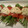 chan☆miki's cooksnap of when they made スモークサーモンの柚子マヨ焼き♪.