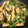 yukari527's cooksnap of when they made こごみとお揚げのサッと煮.