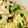 みづたい's cooksnap of when they made たたきキュウリ.
