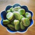 Kaikorokke's cooksnap of when they made 和食の基本☆ソラマメの茹で方.