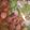 クックW32B2M☆'s cooksnap of when they made 生姜たっぷり薬膳スープ.