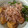 matsutama's cooksnap of when they made 厚揚げとししとうおかか醤油炒め.