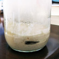もいこ196482's cooksnap of when they made 自家製酵母でパンの元種(中種)作り.