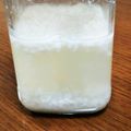 もいこ196482's cooksnap of when they made 甘酒で自家製酵母.