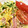 67luna's cooksnap of when they made 夏の定番！冷やし中華☆醤油だれ.