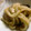 maruru-nn's cooksnap of when they made イカのさばき方（写真での説明付き）♪.