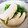なおきんとん's cooksnap of when they made 基本のお浸し〜ささみと菜の花〜.