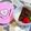 YU〜！'s cooksnap of when they made 濃厚ガトーショコラ.