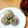 ☆nisa☆'s cooksnap of when they made ココナッツチョコレートボール.