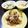 ちえたろう's cooksnap of when they made コブサラダドレッシング.
